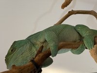 C708CAA3-29C3-4F96-A5FE-8BE145B3EA59.jpg