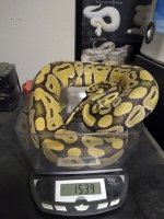 IMG_20200126_205404730.jpg