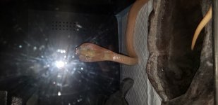 20190505_210502.jpg