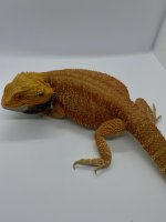 1F37E755-7BA7-4305-84D3-957E55BF4DA6.jpg