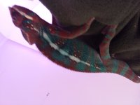 20191114_193848.jpg