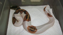 100_1384.jpg