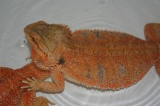 IMG_8666.jpg