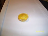 000_0145.jpg