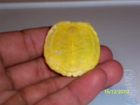 000_0153.jpg