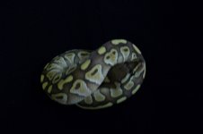 100B0940.jpg