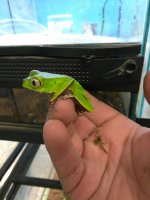 IMG_20170518_171406.jpg
