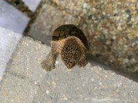 IMG_0359.jpg
