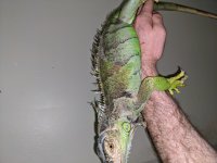 IMG_20191215_185455.jpg