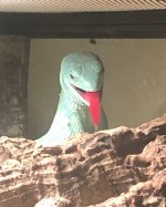 IMG_1373.jpg