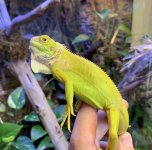 IMG_1836.jpg