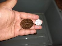 IMG_20200425_173815354.jpg
