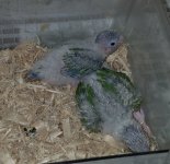 20180712_073324.jpg