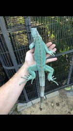 IMG_0268.jpg