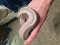 2FA0CC6F-7D16-4FA6-B2E4-B4CA25D1A0A3.jpg