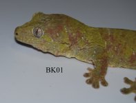 DSC_0012.jpg