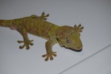 DSC_0014.jpg