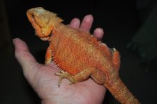 DSC_0001.jpg
