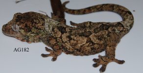 DSC_0016.jpg