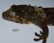 DSC_0026.jpg
