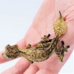 SATANIC LEAFTAIL GECKO MALE 2 NEW.jpg