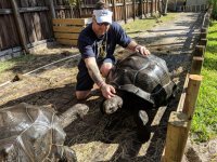 aldabra2.jpg