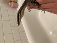 IMG_2883.jpg