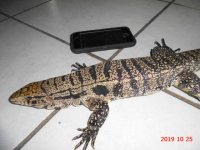 fb hw tail (1).JPG