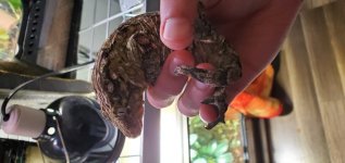 20191209_180022[1].jpg