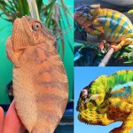 6991934C-E7CE-4547-8255-541F865C85C3.jpg