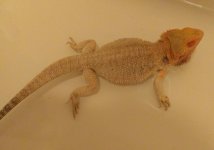20191227_194757_Burst05~3.jpg