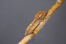 89C91CB1-35BF-4357-BAF1-1C855E297EF1.jpg
