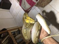 25746574-4D17-47AD-8AB9-0DF93D97AC30.jpg