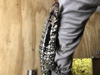 C8AA3553-D1DA-4415-8618-5C3EED1DD1A5.jpg