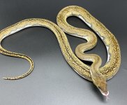 336FD171-A218-4D4A-810D-1E6EF4B5BA69.jpg