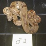 thumbnail (18).jpg