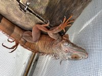IMG-0855.jpg