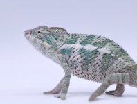 28764AA0-DE3D-449F-B57F-4A1717C46F56.jpg