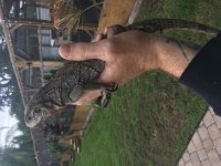 IMG_1311.jpg