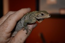 DSC_0874.jpg