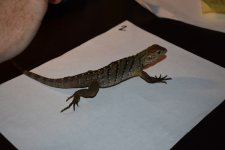 DSC_0877.jpg