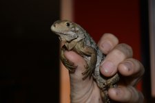 DSC_0879.jpg