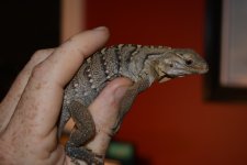 DSC_0883.jpg