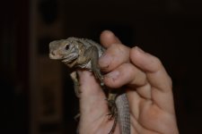 DSC_0884.jpg