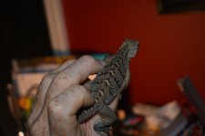 DSC_0885.jpg