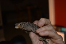 DSC_0888.jpg