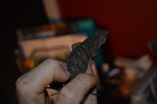 DSC_0889.jpg