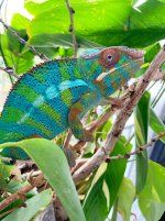 IMG_9281.jpg