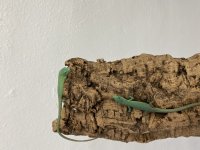 AC02C569-8AFE-49BB-9E2A-ABDD5D631C01.jpg