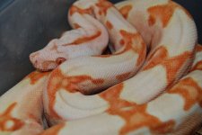 DSC_0111.jpg